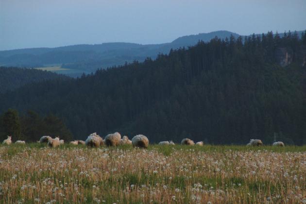 Zkout Broumovska - Pohled na dol Klu?anky a Hejdu