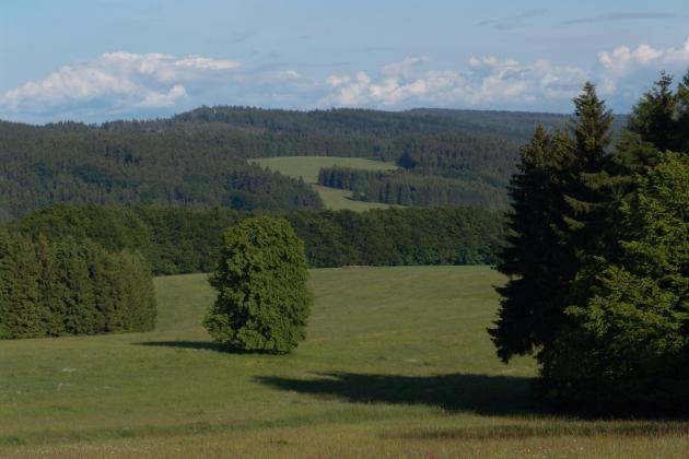 Zkout Broumovska - Pohled od Teplic na Hv?zdu