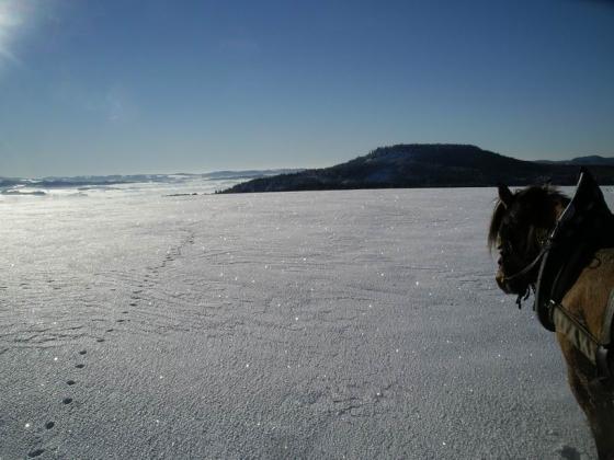 Stolov hora Osta - A kam?