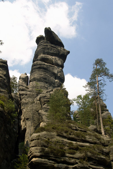 Teplick skly - Anensk dol - Ledn medv?d