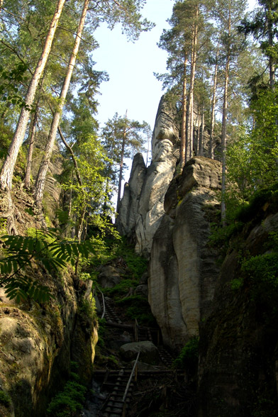 Adr�pa�sk� sk�ly - Kolem jez�rka...