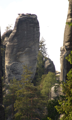 Adrpask skly - t?pnsk koruna