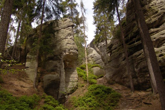 Stolov hora Osta - Doln Osta