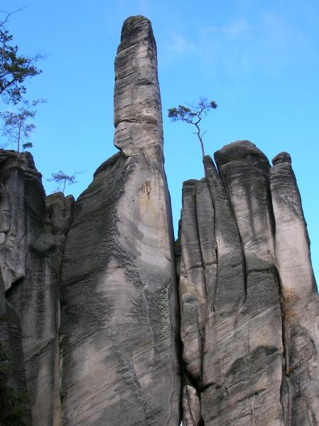 Adrpask skly - Cukrovarsk komn