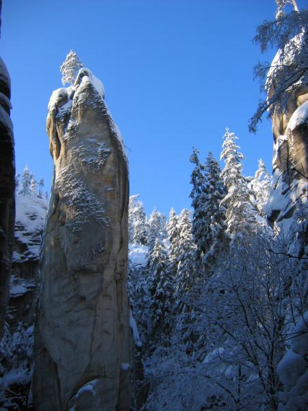 Adrpask skly - jehla