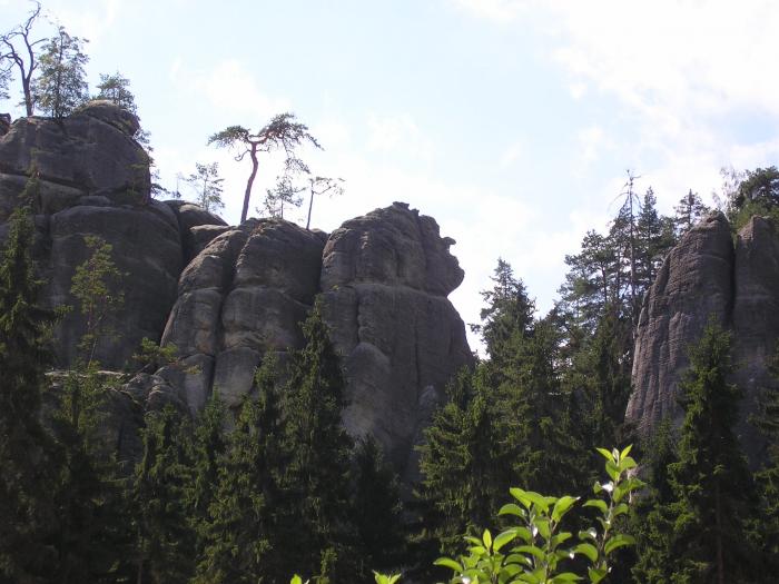 Adrpask skly - ?arod?jnice