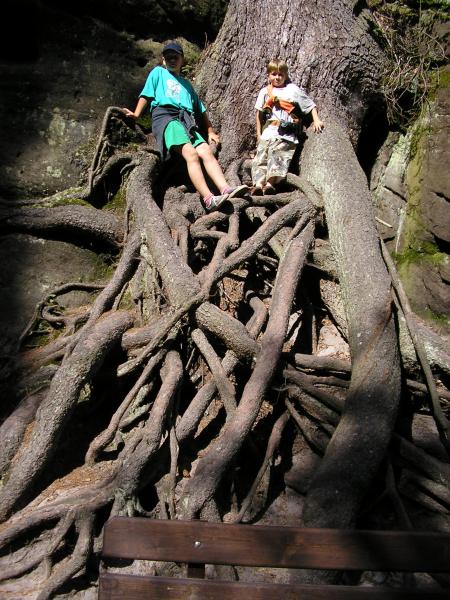 Adrpask skly - chobotnice u vodopdu