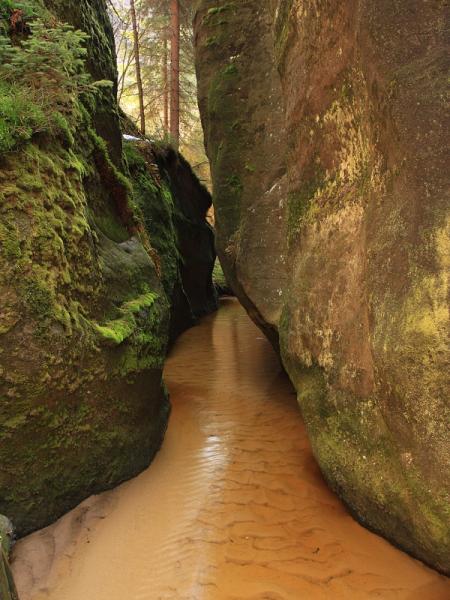 Adrpask skly - Zti z Lvky