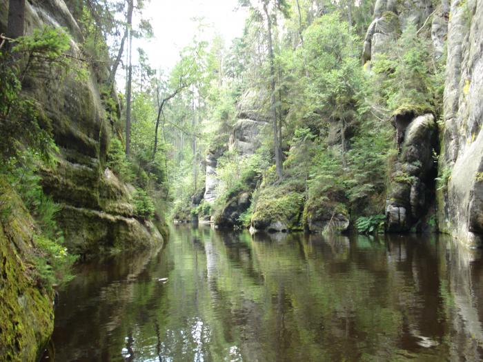 Adrpask skly - jezrko 2010