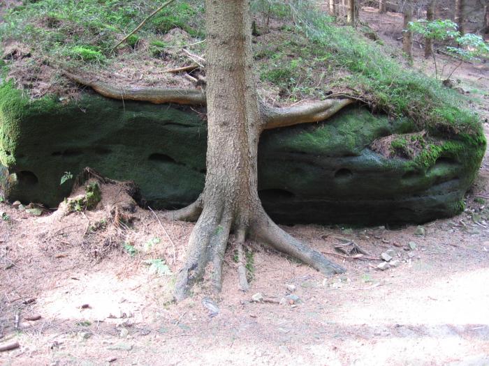 Adrpask skly - a dl t? nepustm